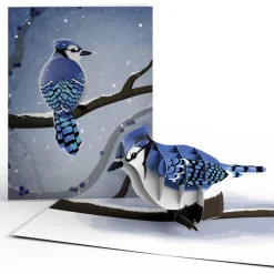 Lovepop Value Packs|Winter Bird Box Set (Assorted 12-Pack): Paperpop® Card