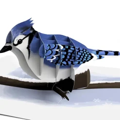 Lovepop Value Packs|Winter Bird Box Set (Assorted 12-Pack): Paperpop® Card