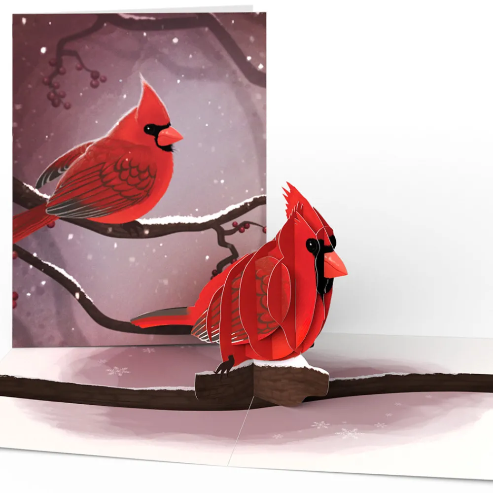 Lovepop Value Packs|Winter Bird Box Set (Assorted 12-Pack): Paperpop® Card