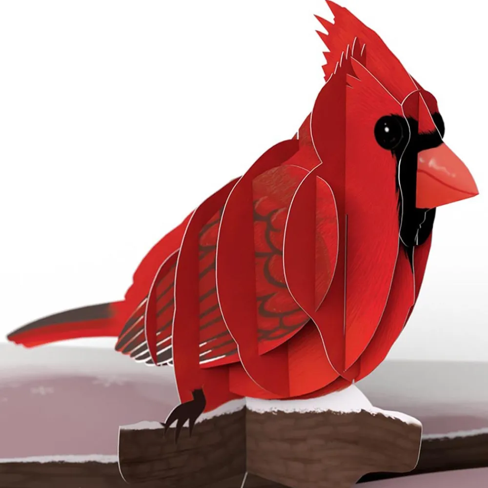 Lovepop Value Packs|Winter Bird Box Set (Assorted 12-Pack): Paperpop® Card