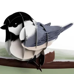 Lovepop Value Packs|Winter Bird Box Set (Assorted 12-Pack): Paperpop® Card