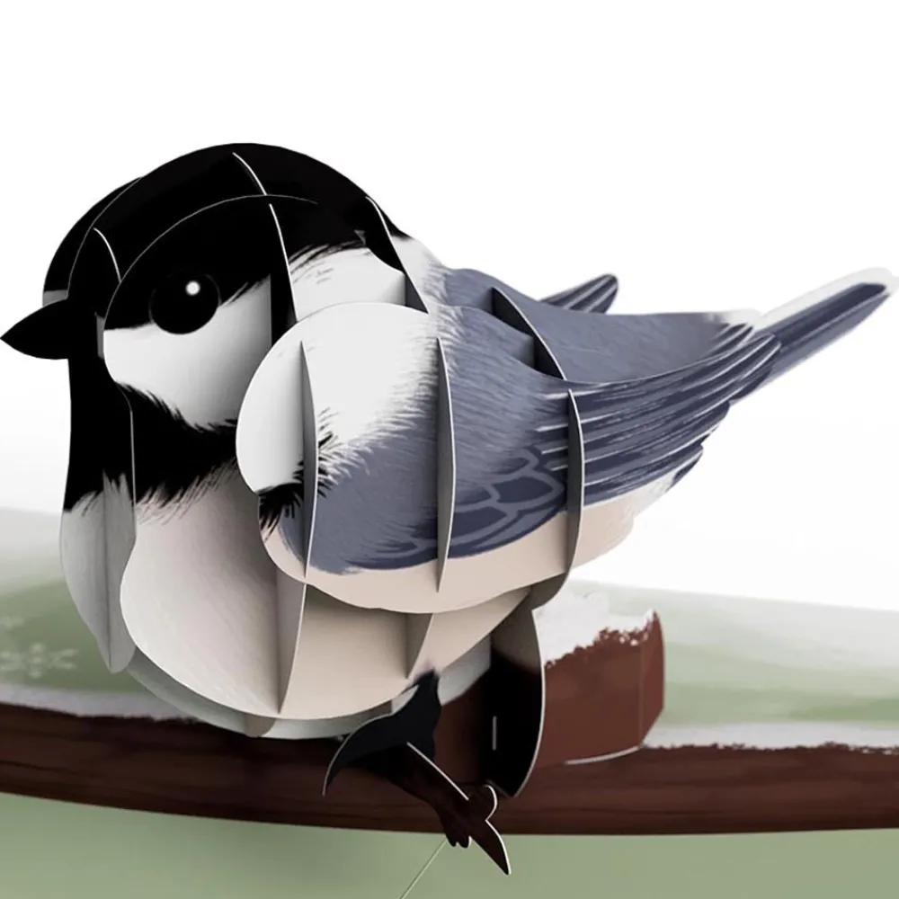 Lovepop Value Packs|Winter Bird Box Set (Assorted 12-Pack): Paperpop® Card
