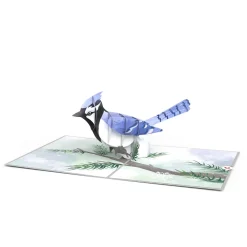 Lovepop Greeting Cards|Just Because|Winter Blue Jay Pop-Up Card