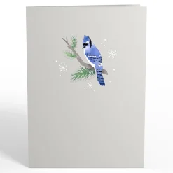 Lovepop Greeting Cards|Just Because|Winter Blue Jay Pop-Up Card