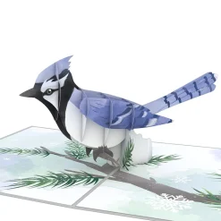 Lovepop Pop-Up Bouquets|Card & Gift Bundles|Winter Wishes Blue Jay Bundle