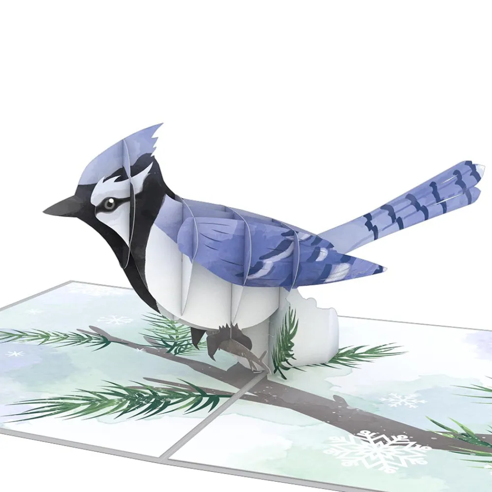 Lovepop Pop-Up Bouquets|Card & Gift Bundles|Winter Wishes Blue Jay Bundle