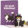 Lovepop Greeting Cards|Birthday|Your Gift Is in the Litterbox Birthday Cat Pop-Up Card