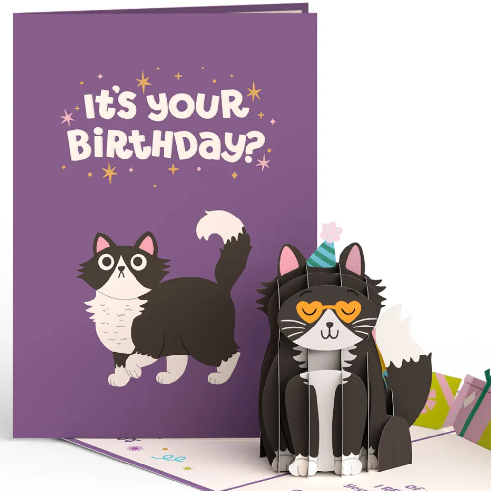 Lovepop Greeting Cards|Birthday|Your Gift Is in the Litterbox Birthday Cat Pop-Up Card