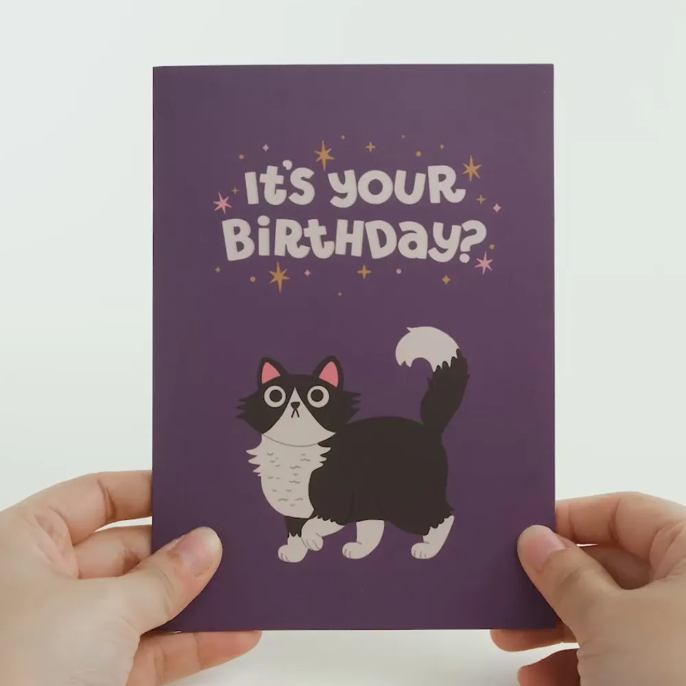 Lovepop Greeting Cards|Birthday|Your Gift Is in the Litterbox Birthday Cat Pop-Up Card
