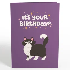 Lovepop Greeting Cards|Birthday|Your Gift Is in the Litterbox Birthday Cat Pop-Up Card