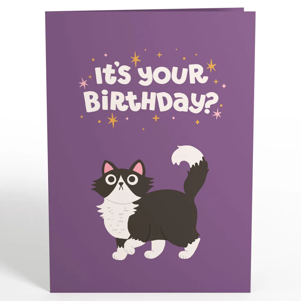 Lovepop Greeting Cards|Birthday|Your Gift Is in the Litterbox Birthday Cat Pop-Up Card
