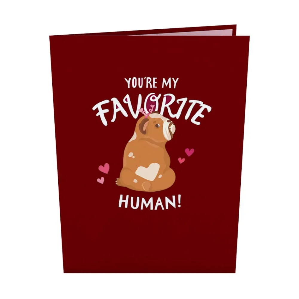 Lovepop Greeting Cards|Anniversary|You’re My Favorite Human Pop-Up Card